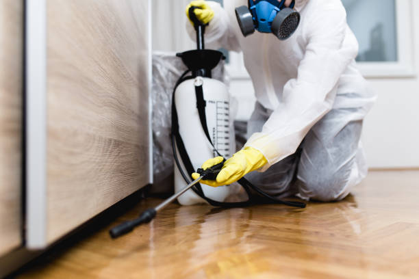 Best Best Pest Control Companies  in Salem, NC