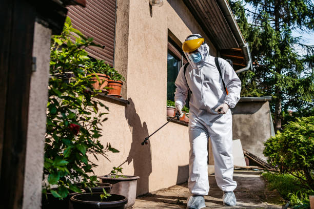 Best Wasp Removal Services  in Salem, NC