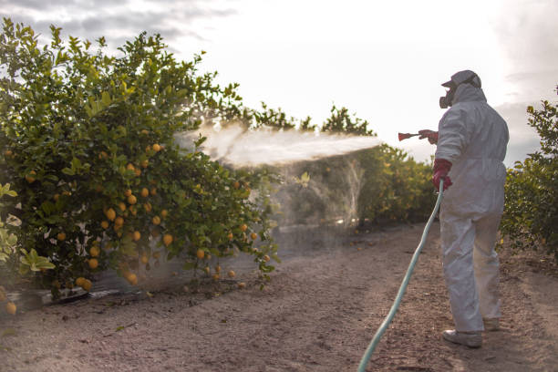 Best Pest Inspection Near Me  in Salem, NC