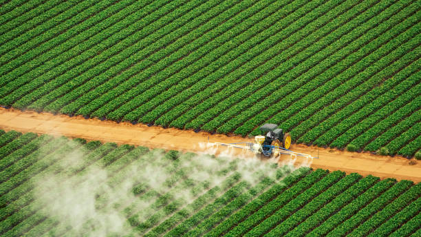 Best Commercial Pest Control Services  in Salem, NC