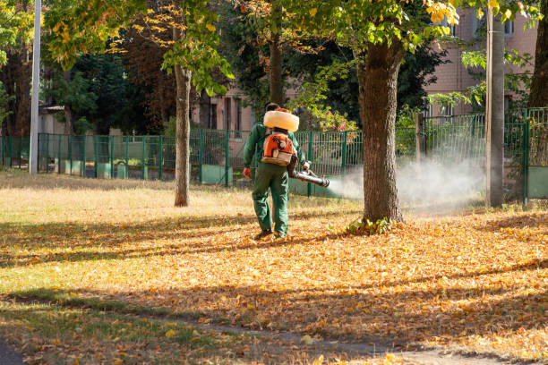 Professional Pest Control in Salem, NC